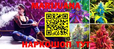 стаф Нальчик