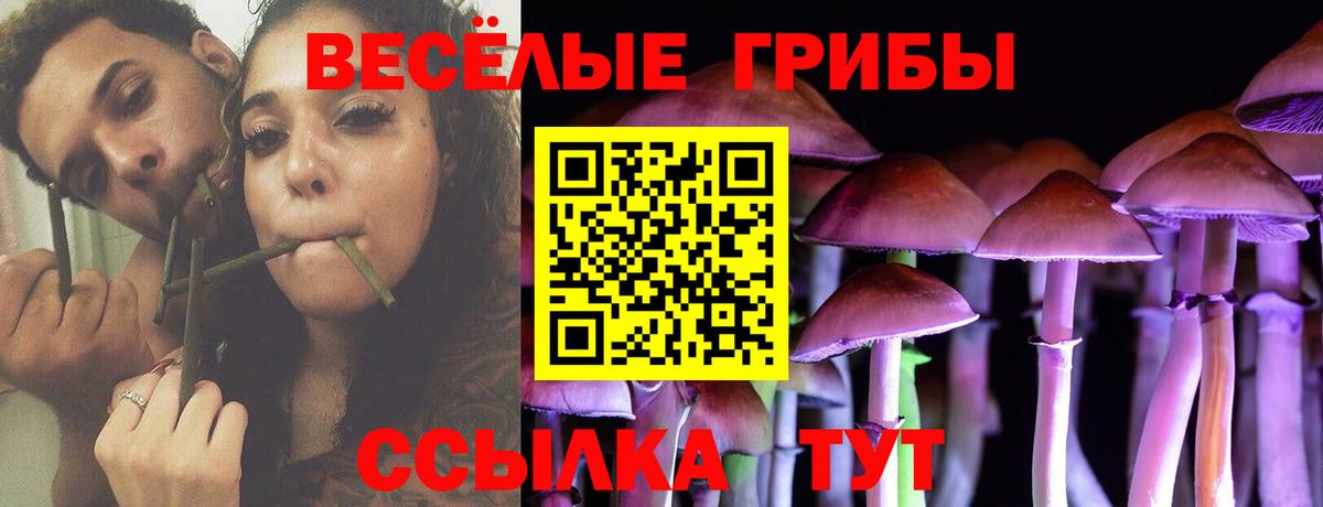Галлюциногенные грибы мухоморы  Вход с VPN  наркотики  Соль-Илецк 